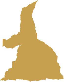 Vásquez de Coronado